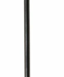 Dt-swiss Rayons Champion® 2.0 (100 Pièces)