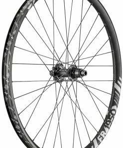 Dt-swiss FR 1950 Classic 29" Roue Arrière
